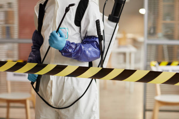 Professional Sewage Cleanup technician working in Albany, TX